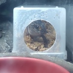 今日もテキトーに