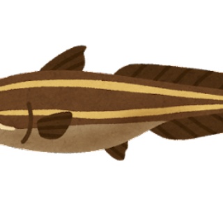 釣りまとめ速報