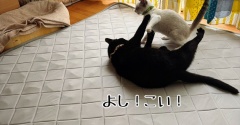 キャラが立ってきた☆エタンくん