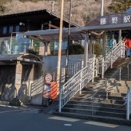 神奈川県にはティラノサウルスがいた？！