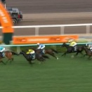 【競馬】マスカレードボールの次走　キングジョージに正式決定