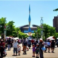 今回は、5/17(日)に「第59回〝福山ばら祭2026〟」行きのGONsanでした(^.-)☆(04)