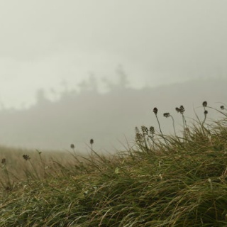パラノーマルちゃんねる | 2ch怖い話まとめ