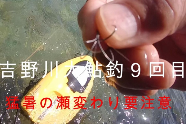 吉野の鮎 August 1st Jinzu River Ayu - YouTube