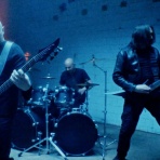 The Metal Pandemic
