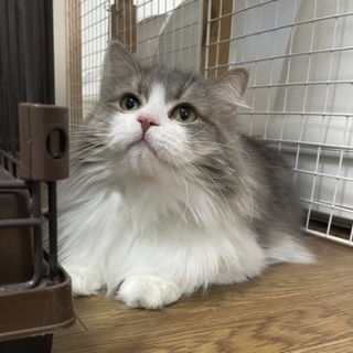 ティアハイムさいたま公式ブログ