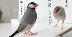 兄たんは優しい