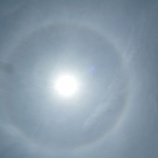 『この頃よく見る・・・』の画像