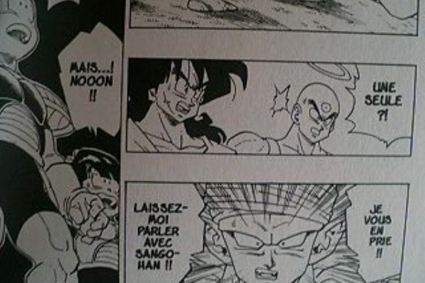 フランス語版ドラゴンボール Harunire Tusin フランス語版ドラゴンボール Harunire Tusin