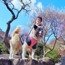 44話　東伊豆の旅