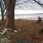 ㈲大江住宅、人呼んで、‘ひごもっこり‘のblog