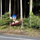 三重県、山中に現れるソニックまでゆるく走ってきました