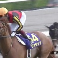 【競馬】2022年の皐月賞馬ジオグリフが引退　優駿SSで種牡馬入り