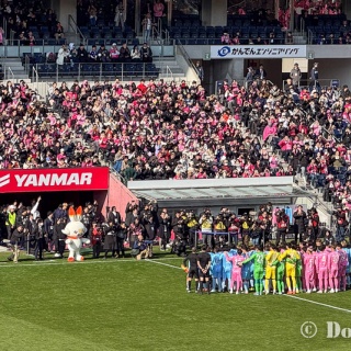 Tedious diary more x4