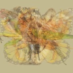 【心理テスト】この画像で最初に見えた動物、あなたの性格を表してるらしいｗｗｗｗｗ