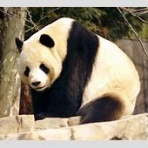 子育てフレフレ速報