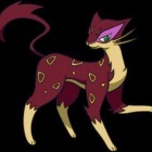 突撃チョッキ エンテイの調整と対策 ポケモンoras 害悪ポケモン殲滅日記 突撃チョッキ エンテイの調整と対策 ポケモンoras 害悪ポケモン殲滅日記