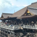 京都に行ってきました