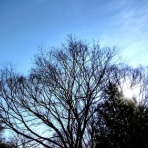 ＝佐藤太の監督雑記＝