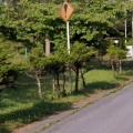 岩手の遠野で謎の標識見つけたんやけど