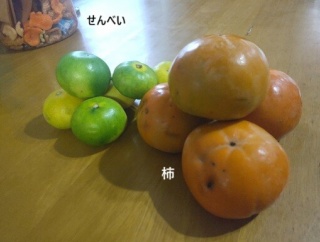 秋分の日　微妙な気温