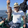 ジギング　泳がせ