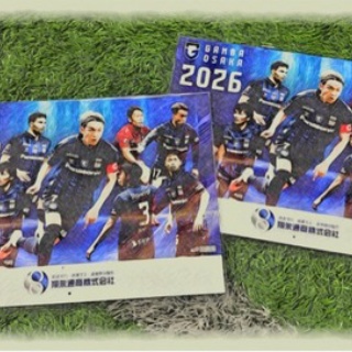 サソリのフットボール奮闘記