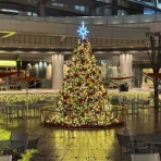 女子活☆吠える秘書　うさ子の黒日記