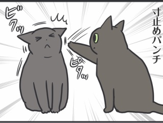 強いスミちゃんの優しいパンチ