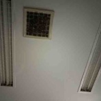 竹馬日報