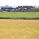 古河電工（東光高岳）専用線@高岳2号機関車（秋の田）