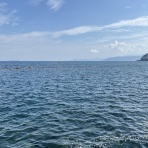 アンソニー松浦の四角いジャングル