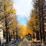 『『非出世系県庁マンのブルース』西日本の方が関心が高い？』の画像