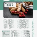 【一日一養】落花生