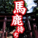 視聴者の皆様へ…いつも「コメント」ありがとうございます！