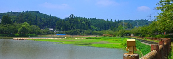 ちょぴっと撮り貯まったダンボー写真を貼っていく
