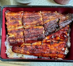 鰻ゆあさ＠北小金（小金原） 我孫子からやってきた