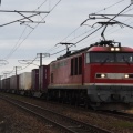 11月24日撮影　「ありがとうEL」の合間に撮影した貨物より-2