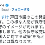 【悲報】河合ゆうすけ「ハーフが日本政治語るな」→フィフィ「差別に深く傷つきました。謝罪を要求します」