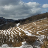 『H27年度 トキの島小倉千枚田農園(田)オーナー募集(追記)』の画像