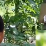 QQQ(海外の反応)