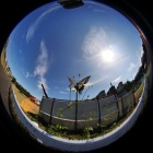 『円周魚眼レンズによるアゲハチョウの羽ばたき　2023/10/06』の画像