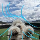 雲の流れが凄くて☁️☁️☁️