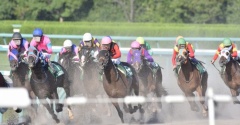 女性騎手・今村聖奈さんGI初制覇。競馬好きの父を見て思った事