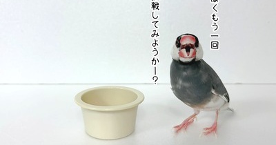 やらかしました