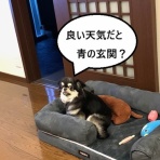 在宅ワークの生活を楽しむ