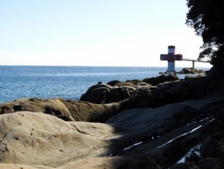 足摺サニーロードで巡るミュージアム88カードラリーin四国