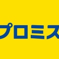 【悲報】今日も今日とて、ヤリスクロスの返済をするためにプロミスから45200円の借り入れ…