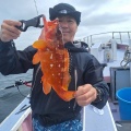 イワシの泳がせ