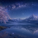 星影を抱く春の鏡